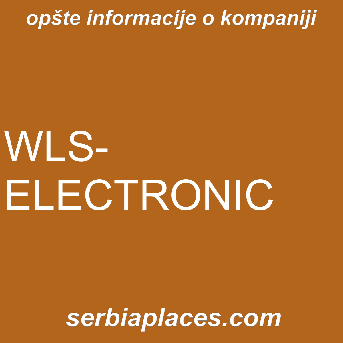 WLS-ELECTRONIC