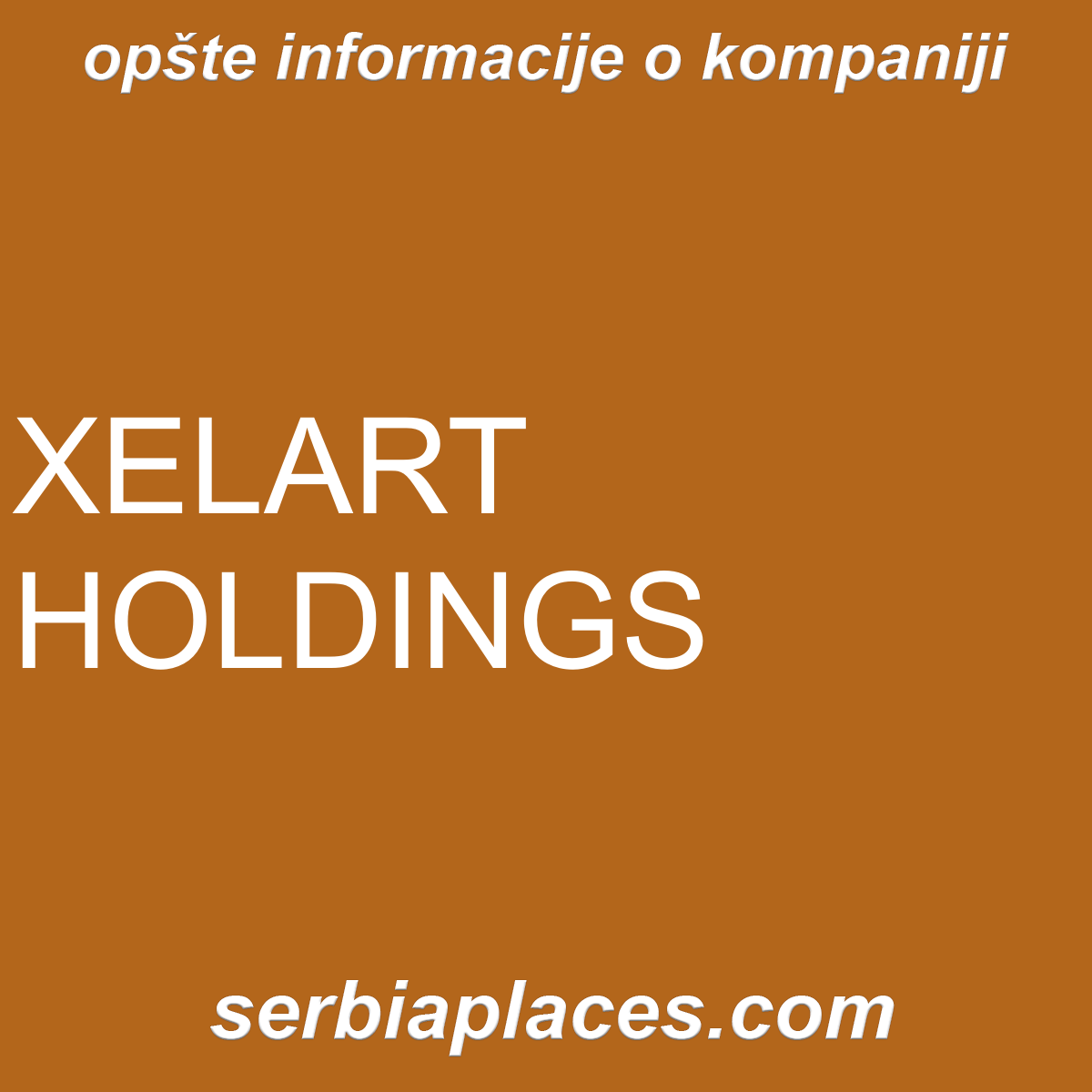 XELART HOLDINGS