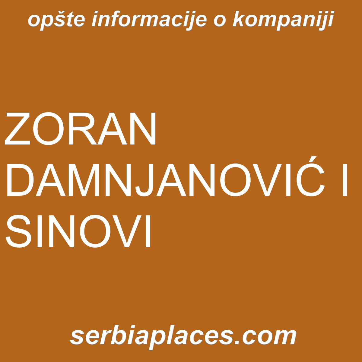 ZORAN DAMNJANOVIĆ I SINOVI